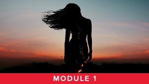 Module 1 - Foundations