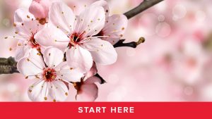Module 2 - Start Here!