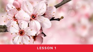Module 2 Lesson 1 - Your Internal Seasons