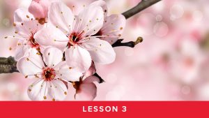 Module 2 - Lesson 3 - Cycle Tracking Continues