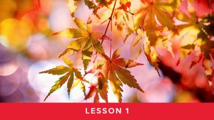 Module 4 Lesson 1 - Autumn