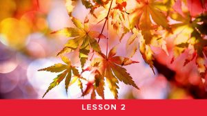 Module 4 Lesson 2 - Self-Care