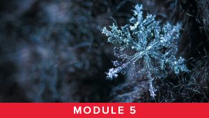 Module 5 - Winter