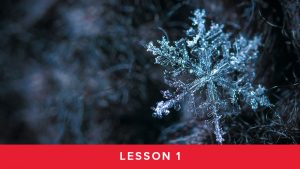 Module 5 Lesson 1 - Winter