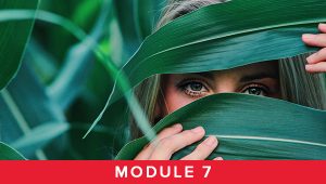 Module 7 - Wellness