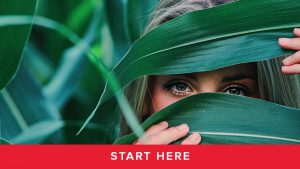 Module 7 - Start Here!