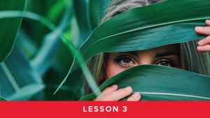 Module 7 Lesson 3 - Eating for Hormone Balance